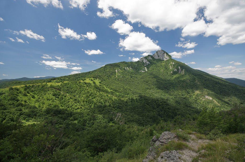 Apartment Gorska Vila Ogulin Luaran gambar